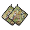 Carolines Treasures Parrots Pair of Pot Holders, 7.5 x 3 x 7.5 in. JMK1281PTHD